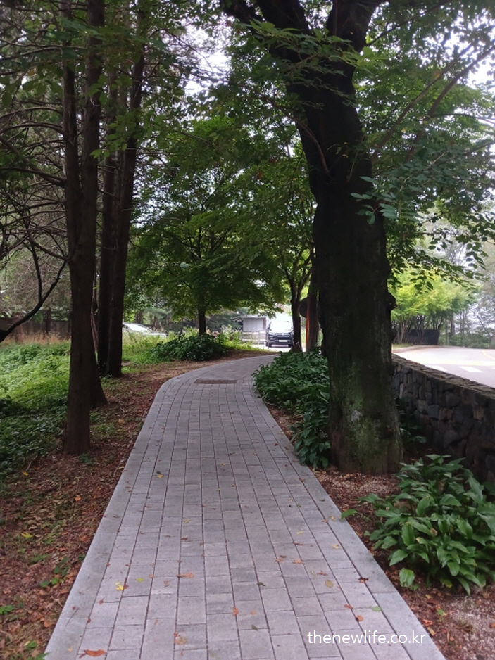 Tree-lined walking path in a residential neighborhood with red bricks &ndash; quiet and peaceful trail-주택가 나무 그늘 아래 빨간 벽돌 산책길 &ndash; 조용하고 평화로운 느낌