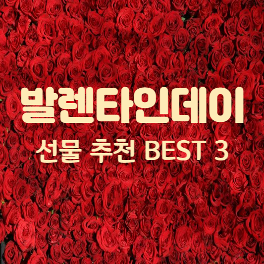 발렌타인 데이 선물 추천 BEST 3