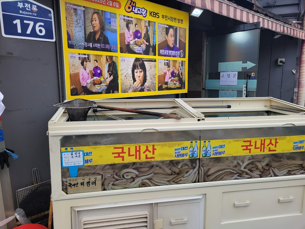 6시내고향에 방영되었다는 사진과 수조의 산꼼장어들