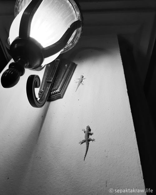 갤럭시A5로찍은태국여행사진이야기