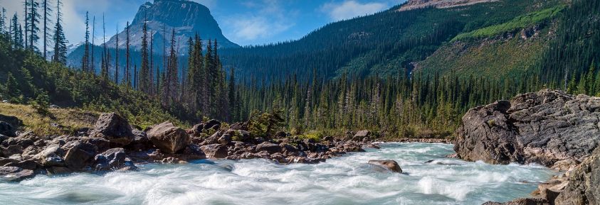 카나다 재스퍼국립공원 사진