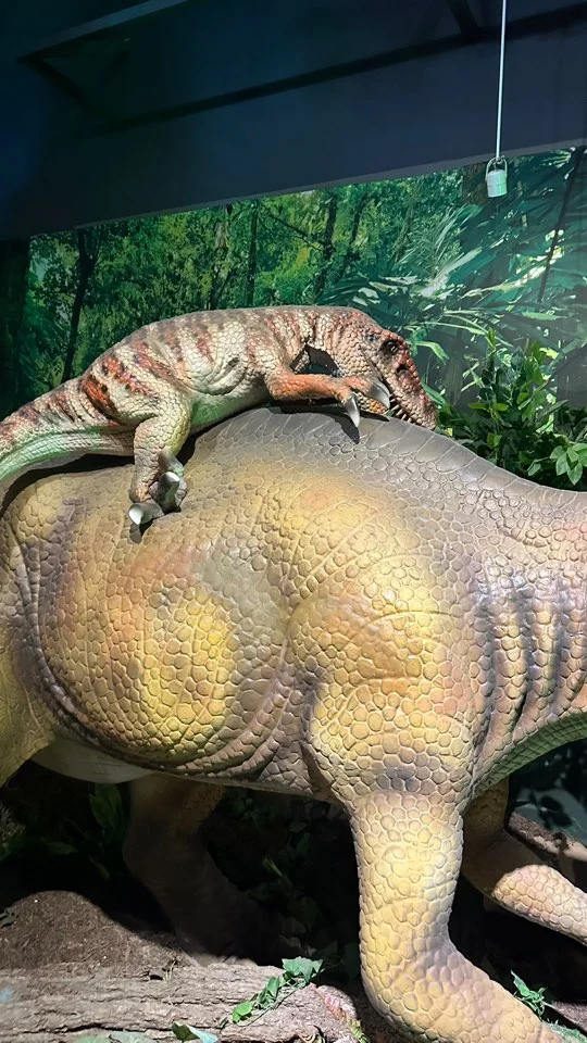 용인실내 아기랑 갈만한 곳 기흥 다이노베이