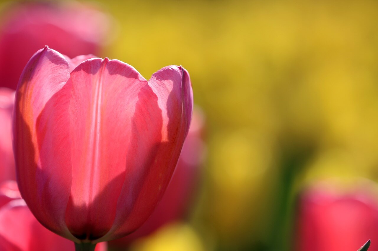제주 서귀포 맛집 현지인 추천