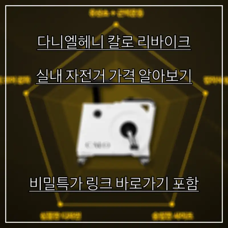 칼로-리바이크-디니엘헤니-자전거-알아보는-모습