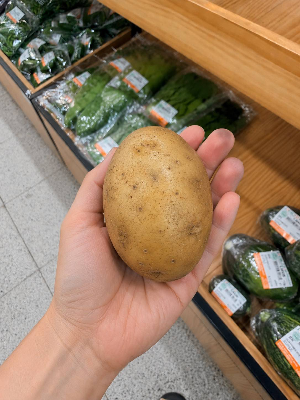 감자 보관법