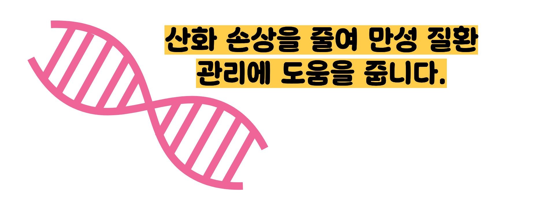 비타민e의 효능