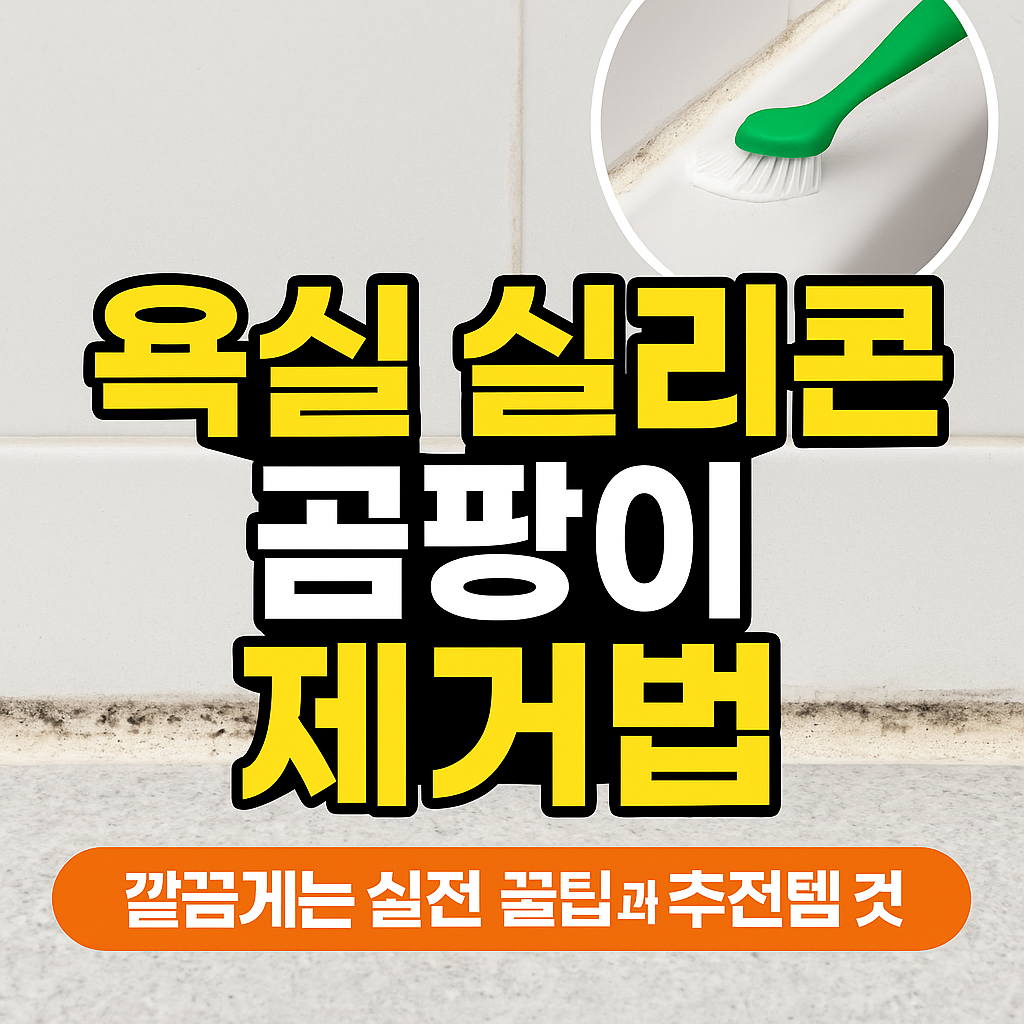 욕실 실리콘 곰팡이 제거법