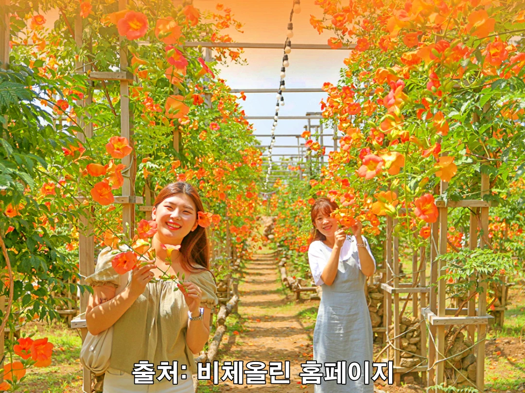 주황색 능소화가 잔뜩 피어있고 두 여자가 능소화를 잡고 웃고있다