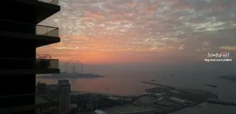 북서향 창문 식물 선택 저광량관리 물주기 식물등 세팅 가이드_10