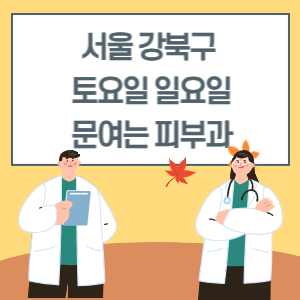 서울 강북구 토요일 일요일 피부과 진료 병원 리스트