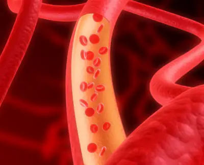 아르기닌-효능-부작용-건강