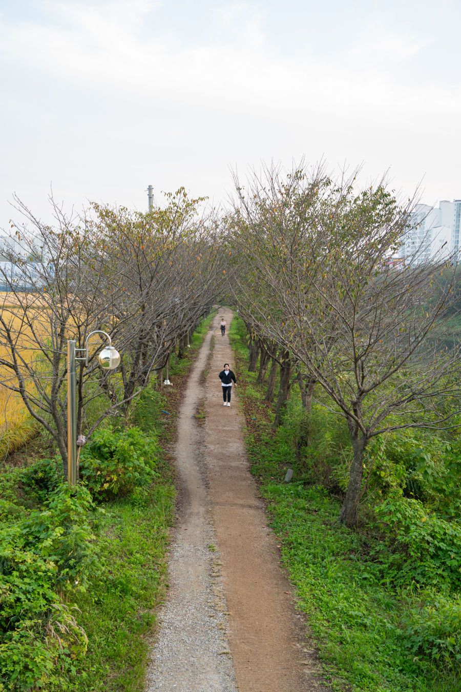 수인선 하늘숲길 황구지천