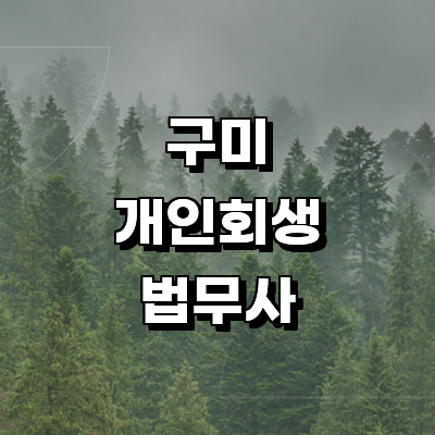 구미시 개인회생 법무사