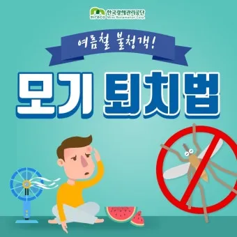 모기 박사님 추천 모기 퇴치법과 여름철 모기 없는 집 만들기 실전 전략_19