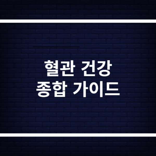 혈관 건강 종합 가이드