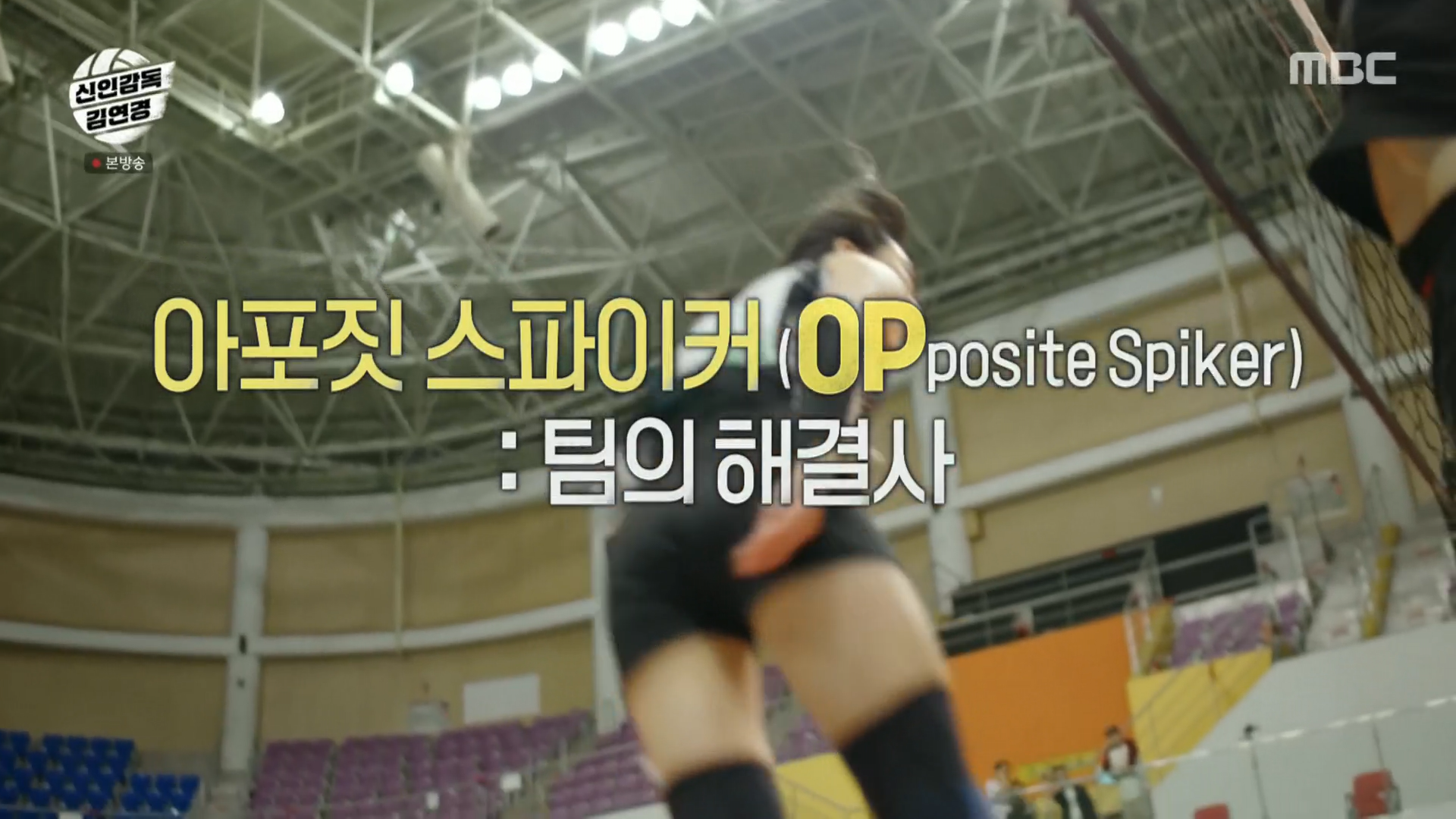 아포짓 스파이커