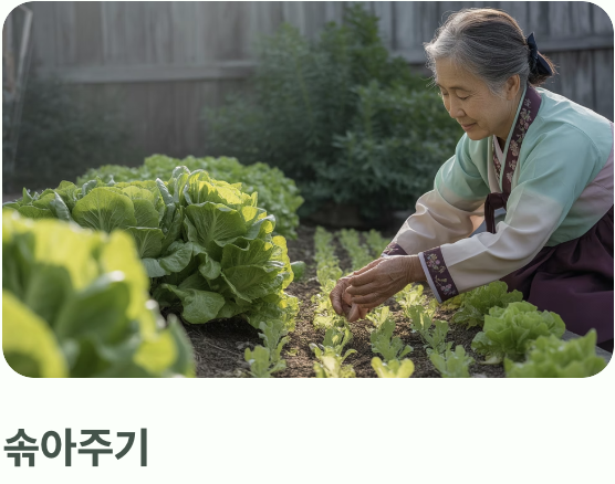 초보자도 OK! 파종과 솎아주기