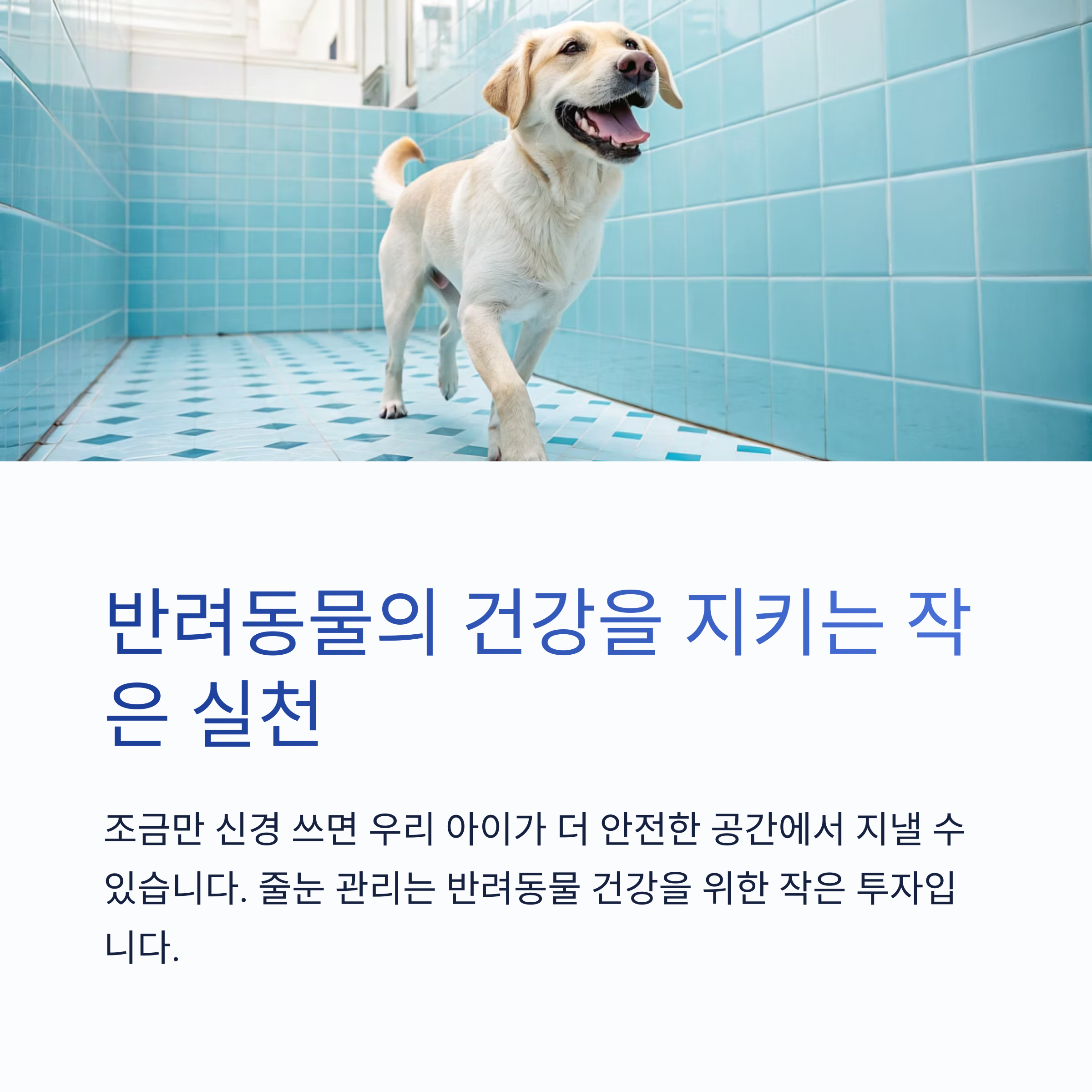 반려동물 있는 집, 줄눈 관리 꼭 필요한 이유