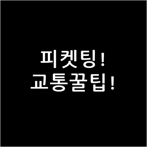 DCC 콘서트 피케팅 성공 전략과 스..