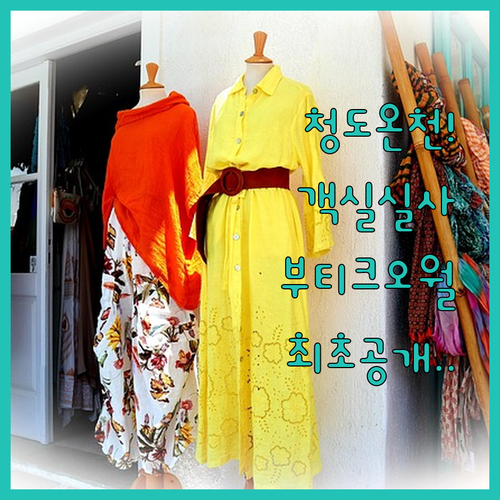 직접 가본 청도 온천 호텔 엑스와 부..