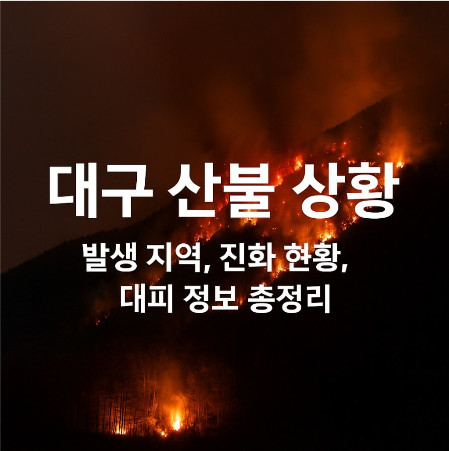 대구산불상황