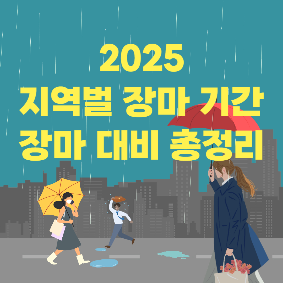 2025년 장마 기간 관련 사진