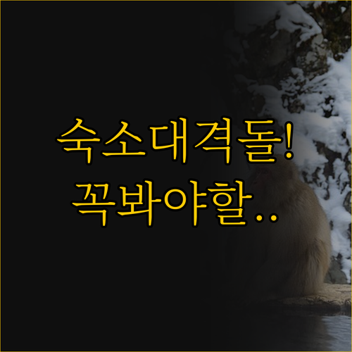 오타루 역 근처 숙소, 전통 온천 호..