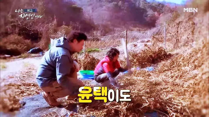 나는 자연인이다 엄마의 이름으로 자연인 김정예 소개 및 윤택 출연 531회 다시보기