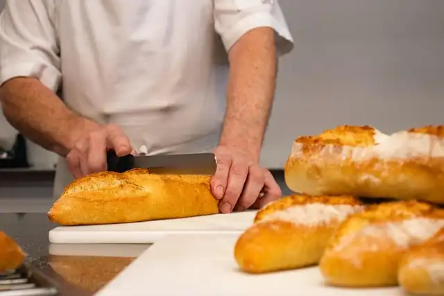 미르메코코리란 무엇인가: 개미에 의한 종자 산포의 정의와 범위