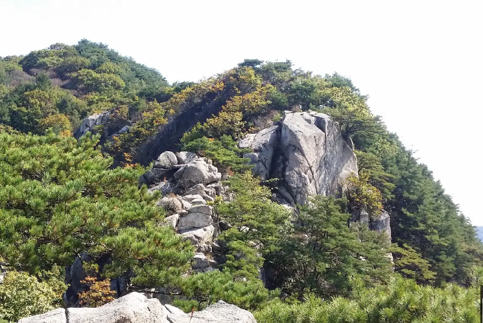 산