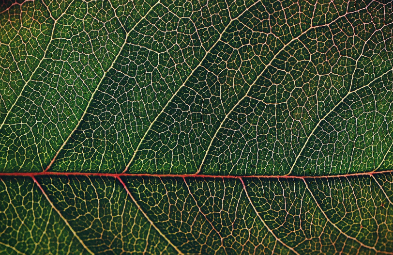 유기 합성의 이해: 새로운 유기 화합물을 만드는 과학