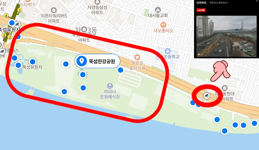 서울벚꽃길명소-뚝섬-CCTV