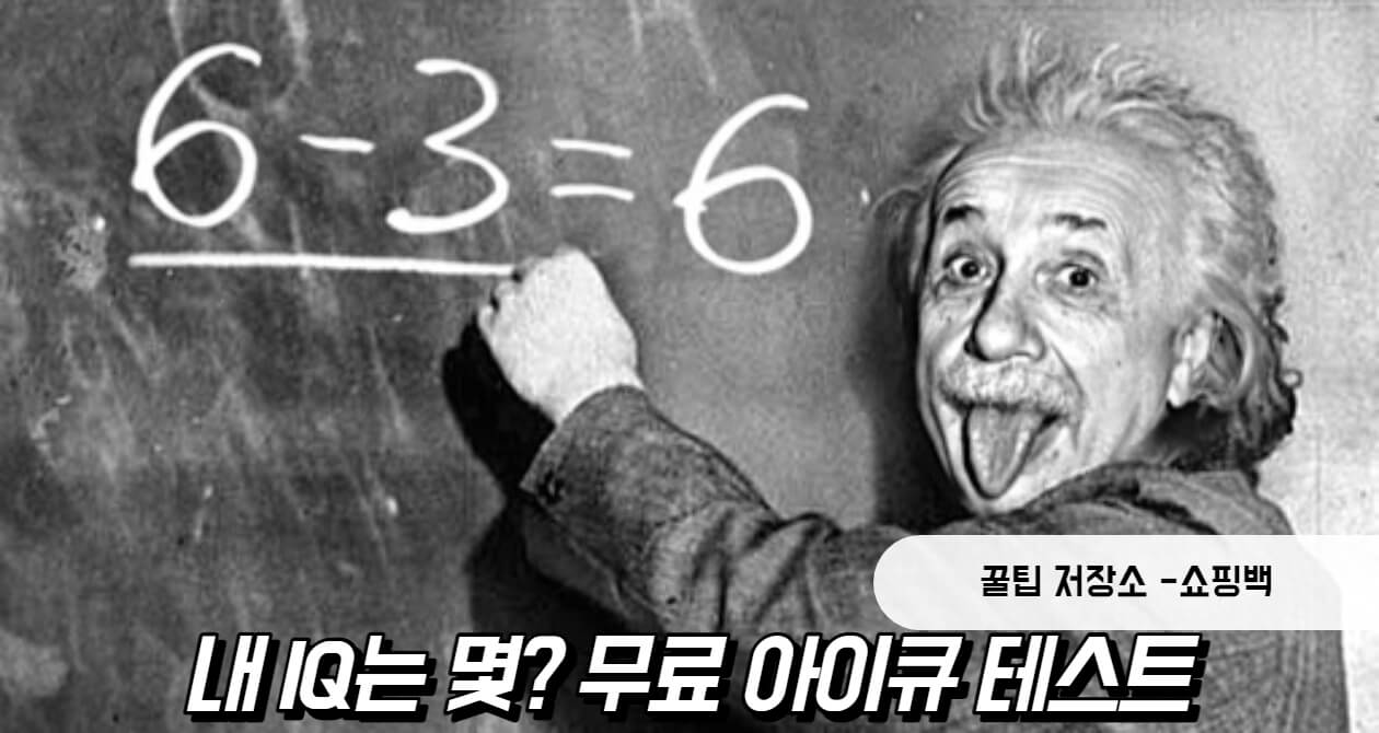 무료 아이큐 테스트