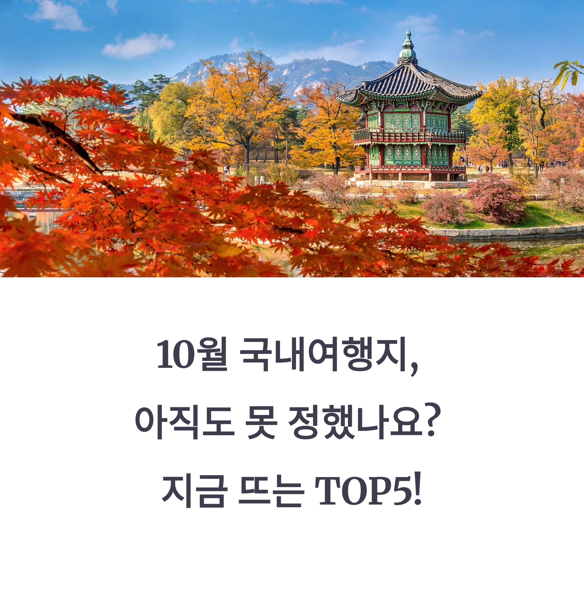 10월 국내여행지, 아직도 못 정했나요? 지금 뜨는 TOP5!