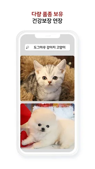 유기묘 새끼 고양이 무료 분양 어플 앱-22 유기묘 새끼 고양이 무료 분양 어플 앱-22
