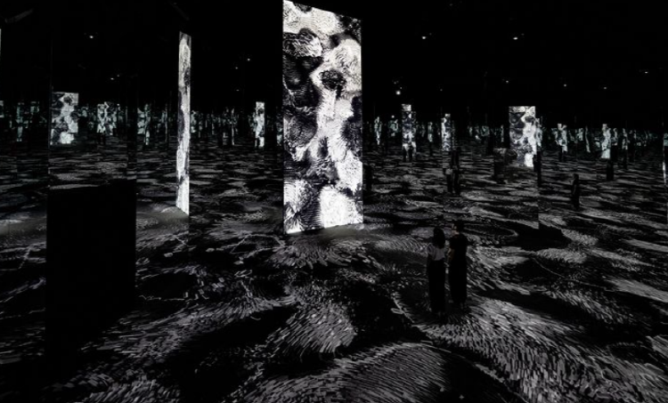 여수 아르떼뮤지엄