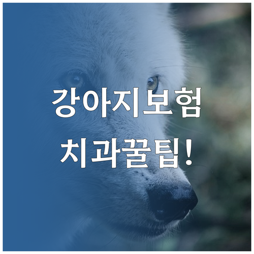 강아지 보험 치과 보장 특약 꼼꼼 비..