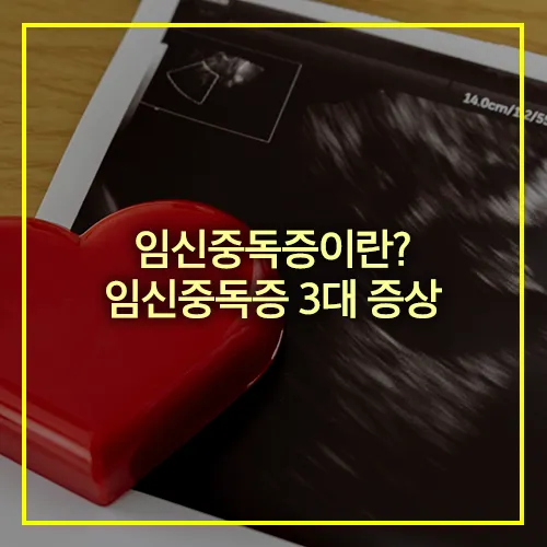 임신중독증 3대 증상