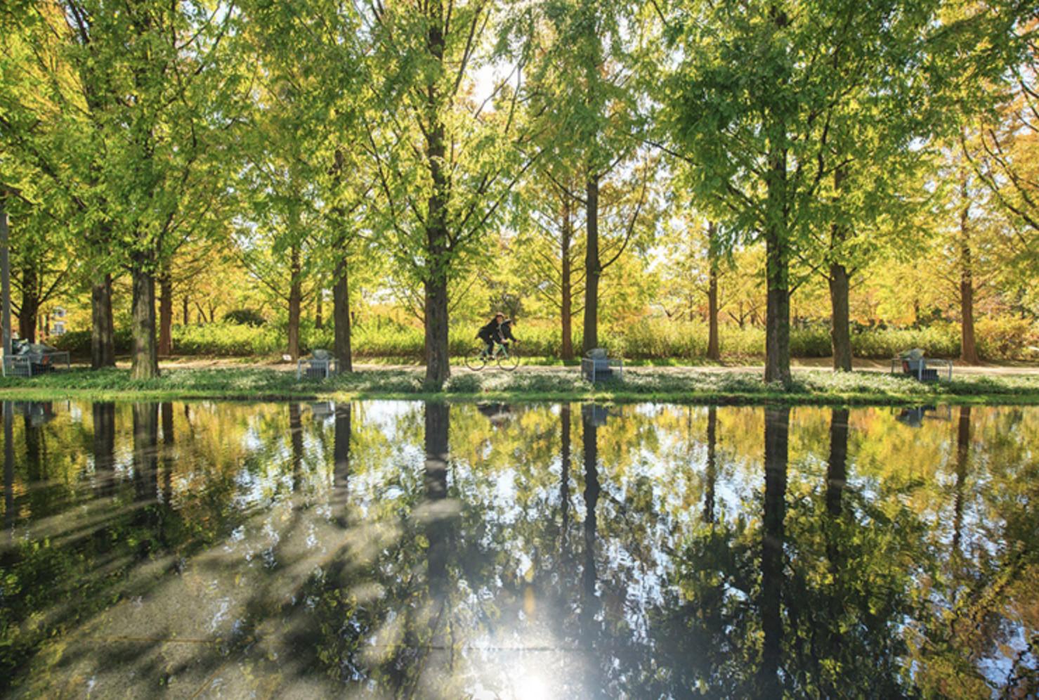 서울숲 홈페이지