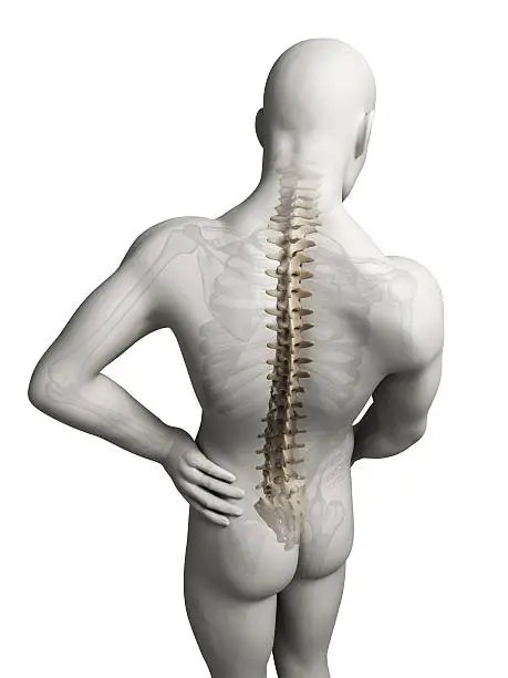 척추 건강을 유지하기 위한 생활 속 실천 방법