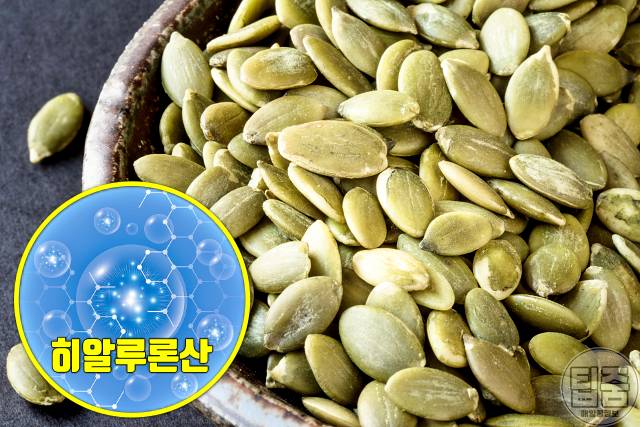 무릎 연골재생 음식 호박씨 무릎연골에 좋은 음식