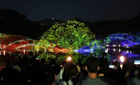 창경궁 관련행사 사진