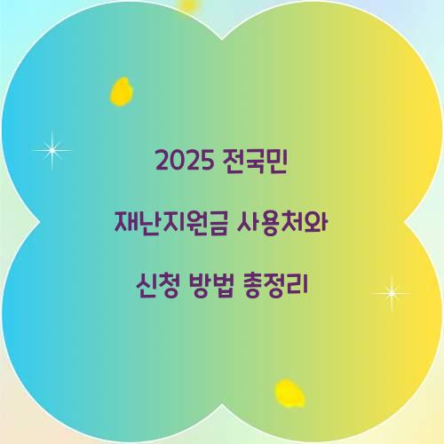 2025 전국민 재난지원금 사용처