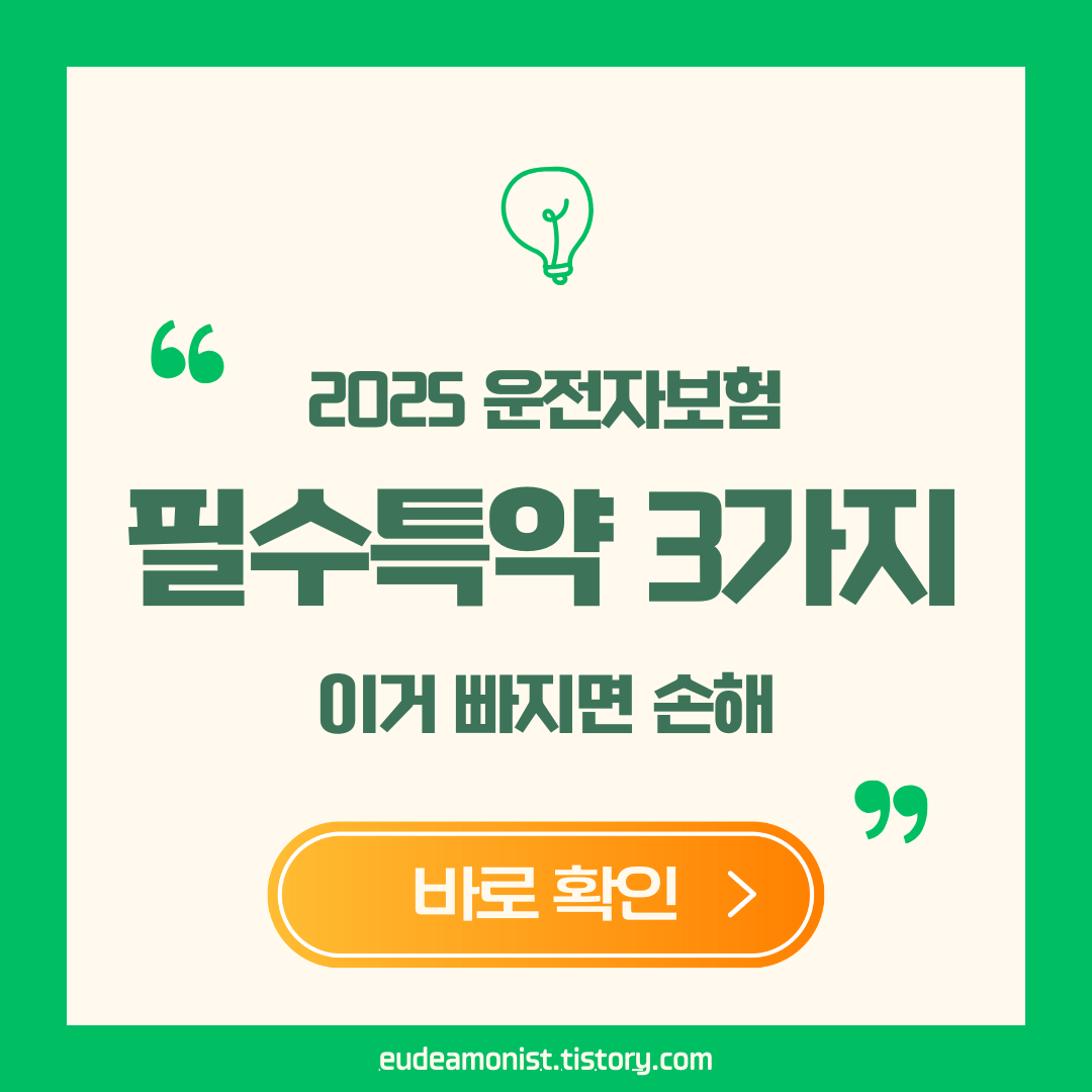 운전자보험 확인 사항