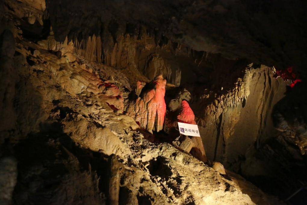 동해 가볼만한곳 베스트10 천곡 황금박쥐동굴