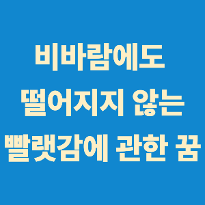 비바람에도 떨어지지 않는 빨랫감에 관한 꿈