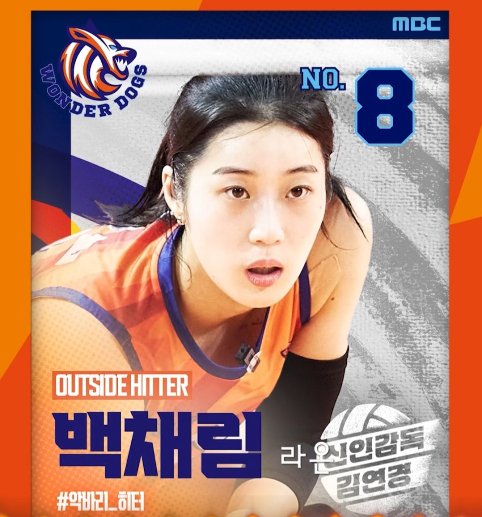 김연경-감독-원더독스-선수단-정보-총정리