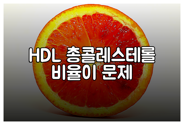 HDL 총콜레스테롤 비율이 문제