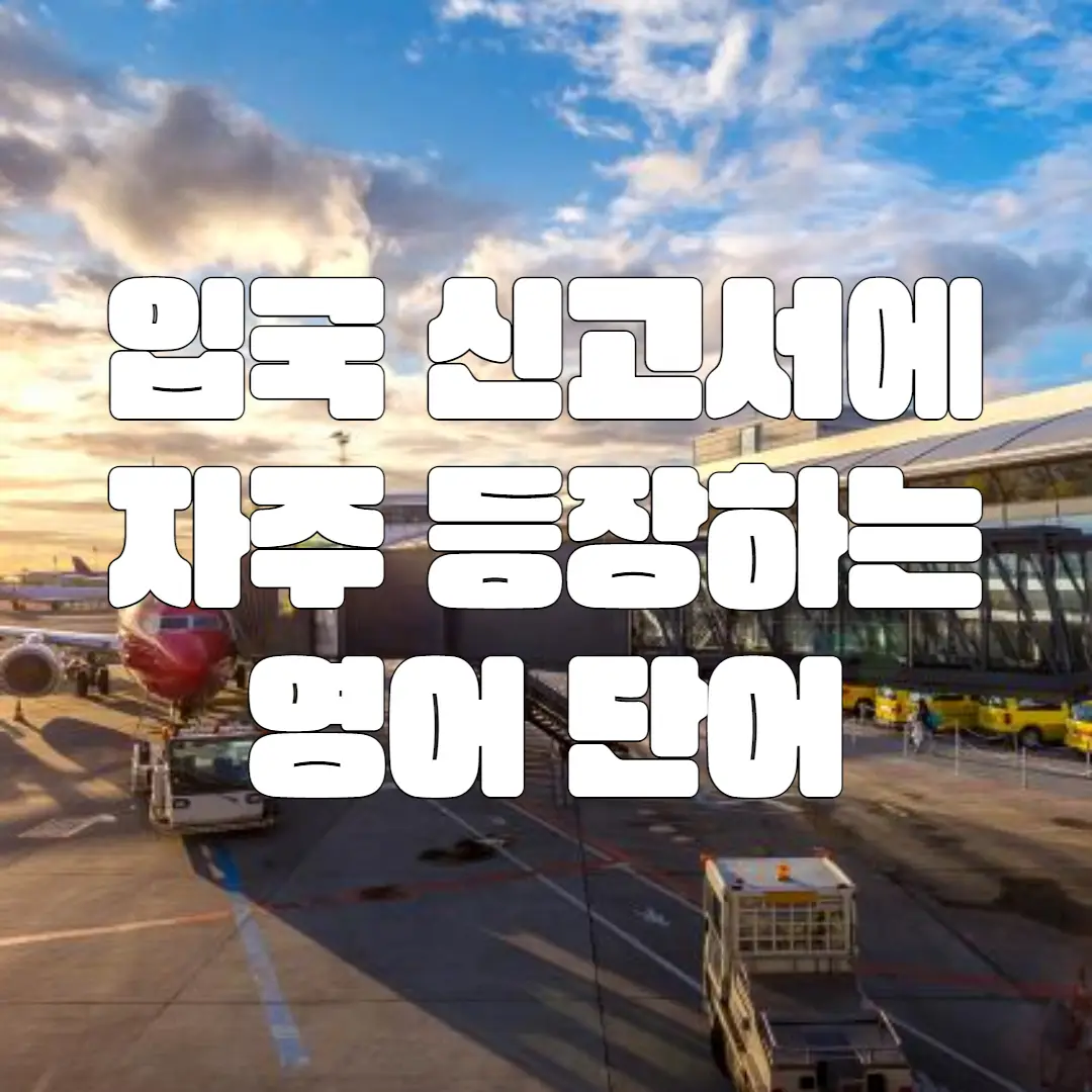 입국 신고서에 자주 등장하는 단어