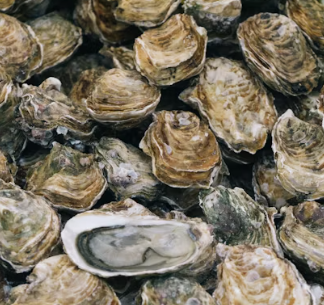 아연 하루 권장량 성인 필요량 섭취방법